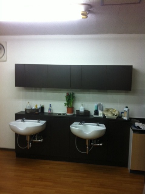 �ĿͷбĤ����Ƽ������Ƽ�������